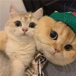 Yadira Duarte avatar